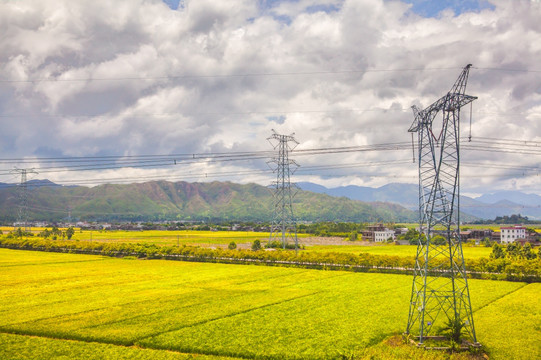 青翠田园风光