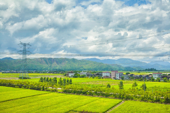 梅陇镇 南山村 田园