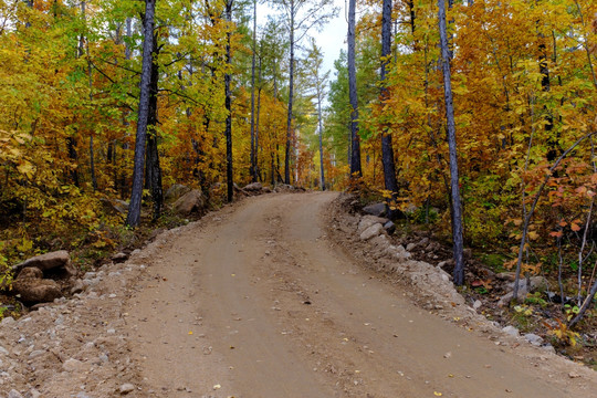 秋季林区山路