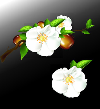 山茶花 原創(chuàng)