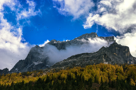 四姑娘山双桥沟布达拉峰