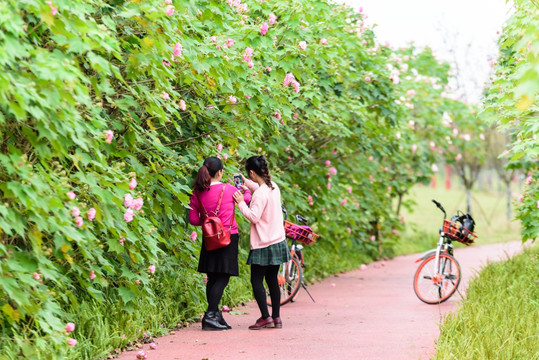 芙蓉道拍照的母女