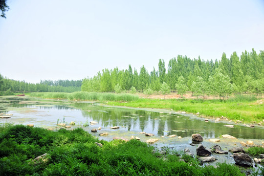 小河流水 清澈小河水