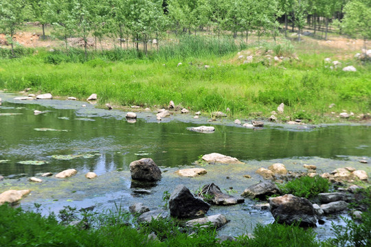 小溪 小河 溪流