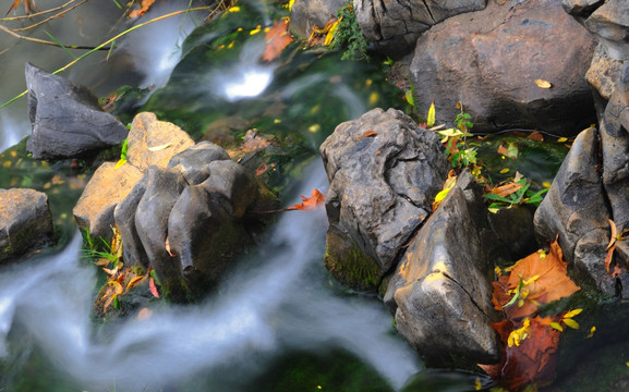 红叶流水