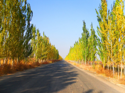 道路