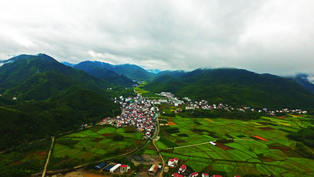 雨后丁香