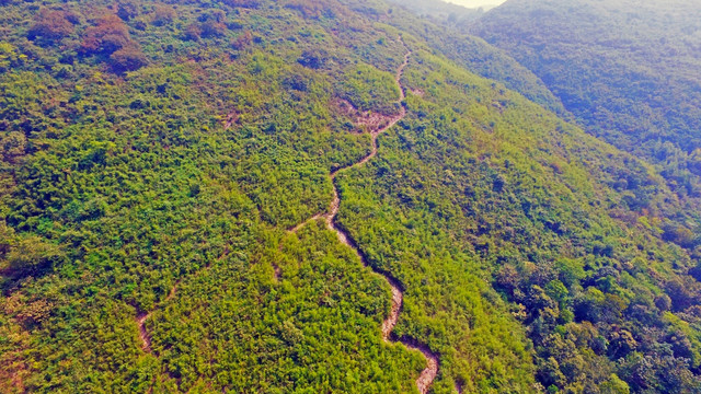 和龙山九石阶