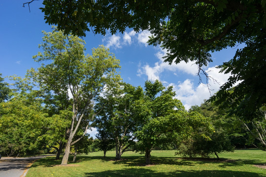 康奈尔大学植物园