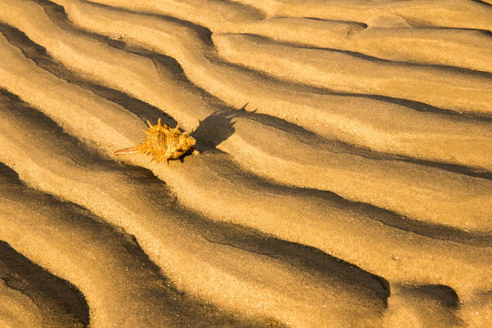 沙浪 海岸沙滩 沙漠风景 自然