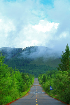 林海山路云雾