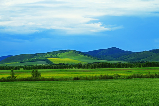 农田风景