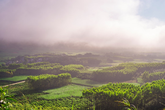 风景