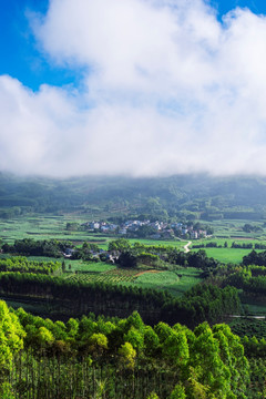 风景 乡村风景