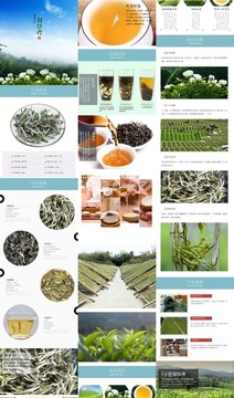 茶葉詳情頁