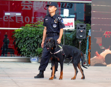 警犬