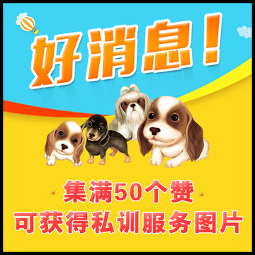 狗狗主圖
