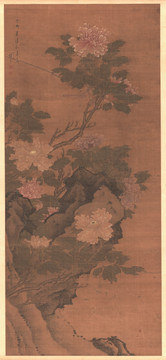 牡丹圖軸