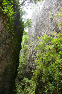龍水峽地縫 山谷風光仰拍