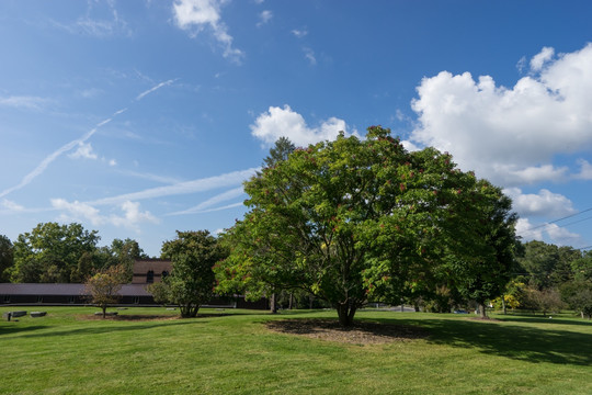 康奈尔大学植物园