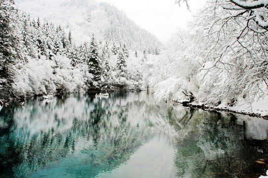 九寨沟 雪景 雪山