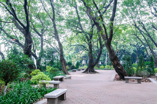 广州流花湖公园景观