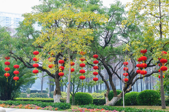 广州流花湖公园景观