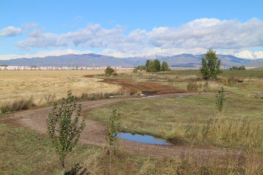 麦田 土路