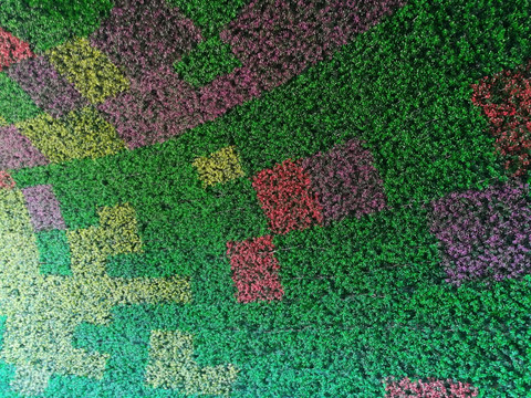 鄭州園博園  國際園林博覽會