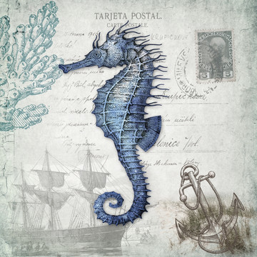 海洋裝飾海馬
