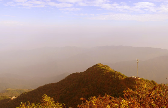 风景