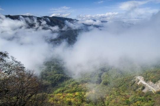 神农架天燕风景区初秋