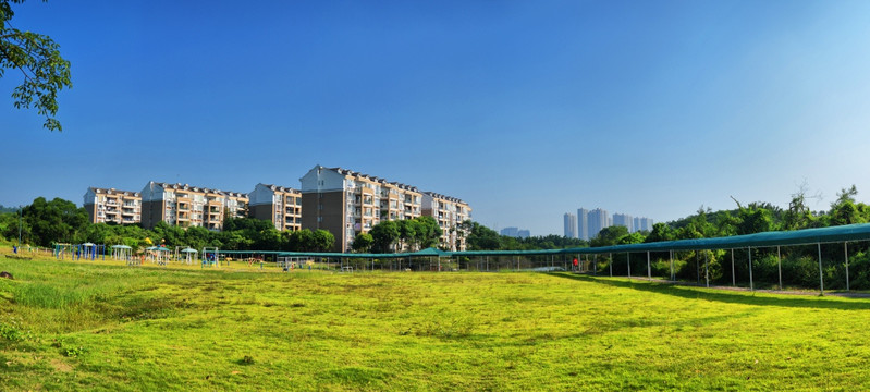 住宅小区的草地