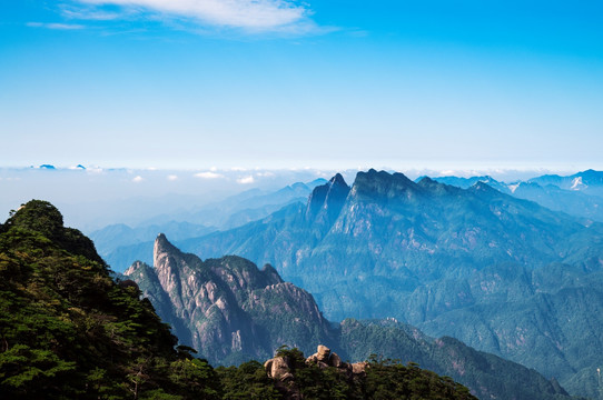 高山云雾