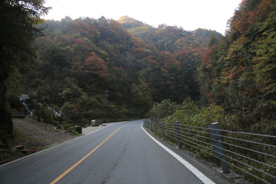 神龙架红叶