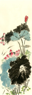 寫(xiě)意荷花