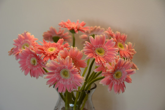 花束 鲜花 装饰