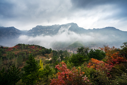 雨后