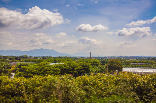 靖城镇 草坂村