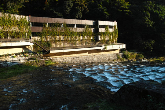 日本箱根