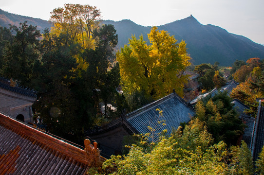 北京潭柘寺