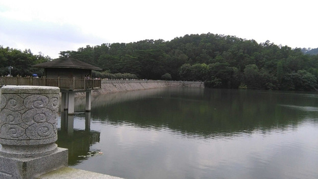 广州大夫山森林公园