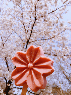 樱花雪糕