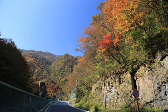 金秋 山水景区