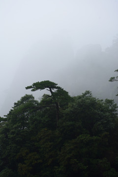 雾中的三清山 水墨山水画