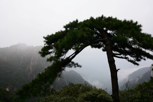 三清山风光摄影 雾中的三清山