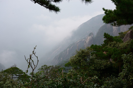 三清山风光摄影 雾中的三清山