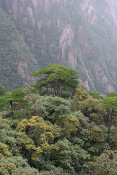 三清山 江西三清山