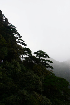 三清山风光摄影 雾中的三清山