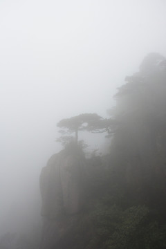 三清山风光摄影 雾中的三清山